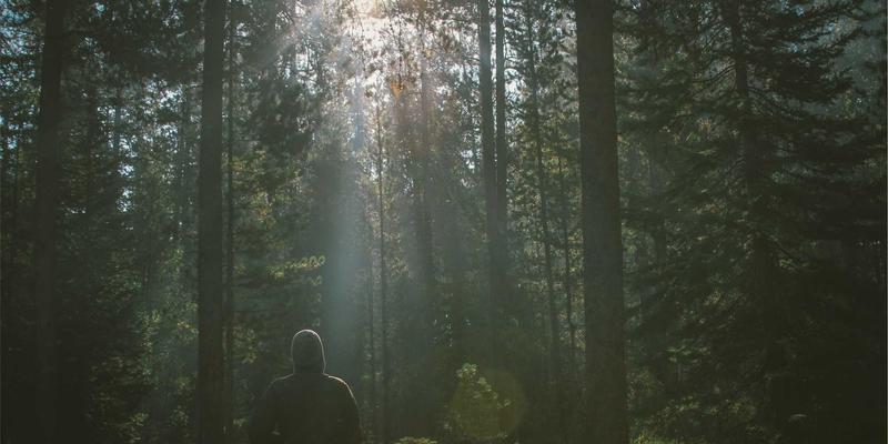 青岛学子专属：巧用本地德资与日韩企业资源，打造独一无二的留学背景提升计划