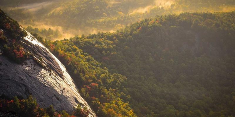 青岛留学中介避坑指南：三步识别专业顾问与靠谱服务，拒绝申请陷阱