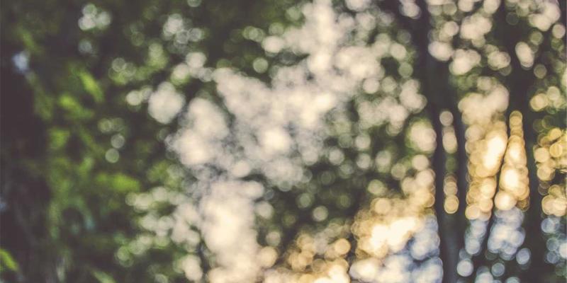 青岛留学生海外租房全攻略：从合同条款到避坑指南，安全入住第一步